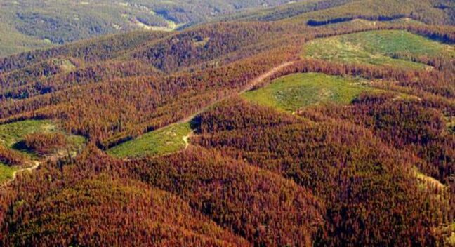 Climate smart pest management