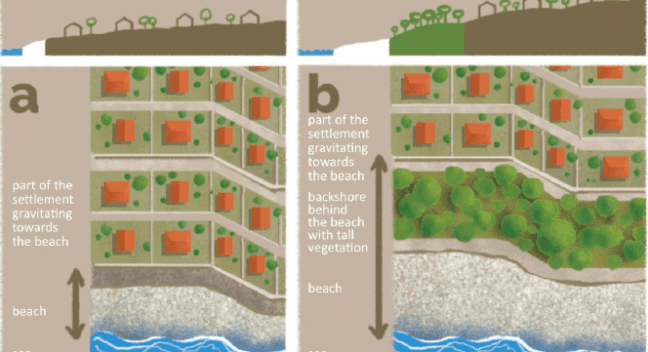 Coastal setback zones