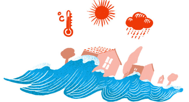 Disaster Risk Reduction using eco-system services – Eco-DRR