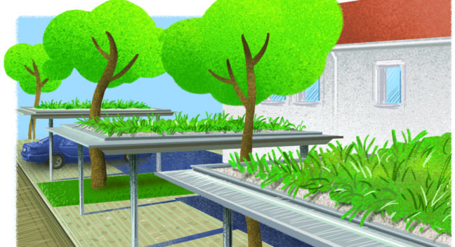Green roofs