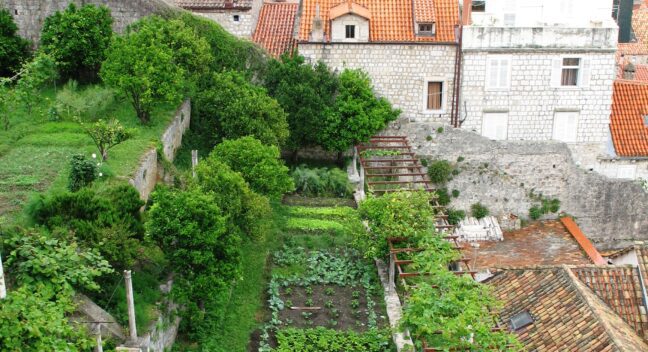 Green spaces and corridors in urban areas
