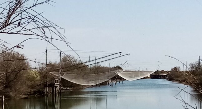 Protection, restoration and management of coastal wetlands