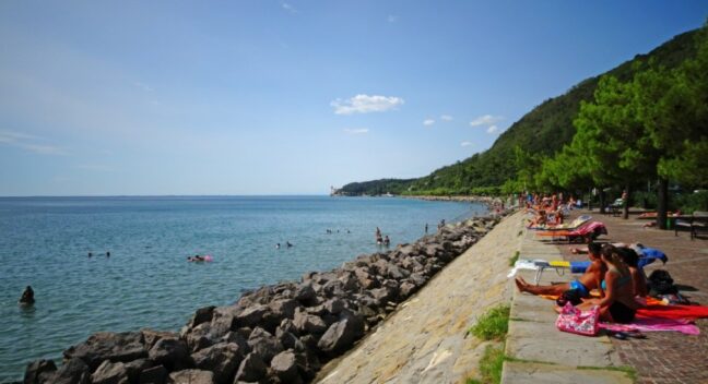 Seawalls and quays