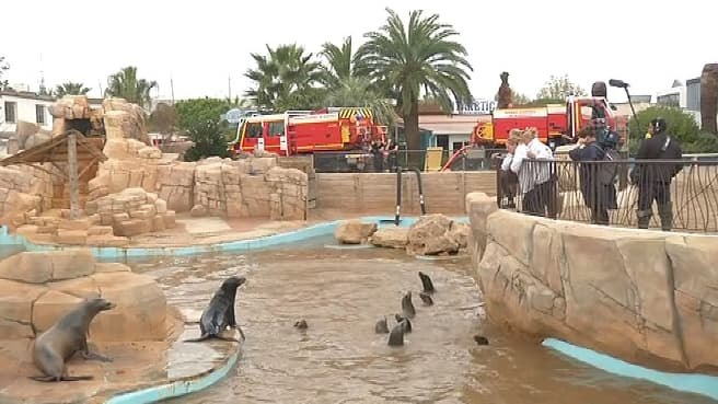 Marineland park clean-up operation following the floods of October 2015 © Photo BFM TV