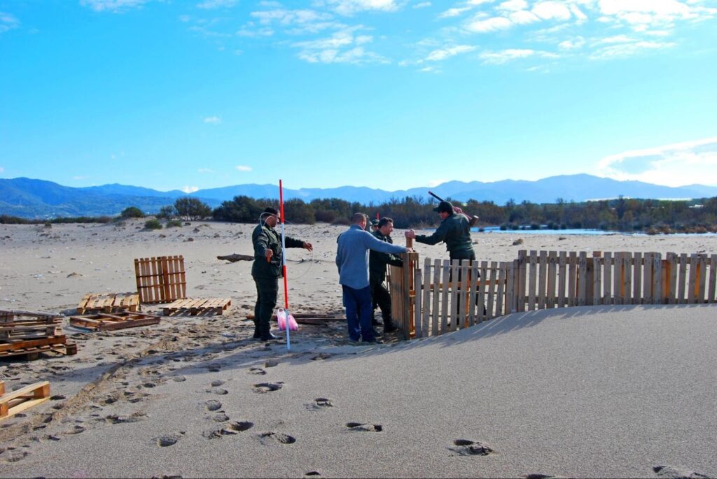 This site was selected as a test area for dune fixation at the Béni-Belaid Nature Reserve in the Wilaya of Jijel (northeastern Algeria).